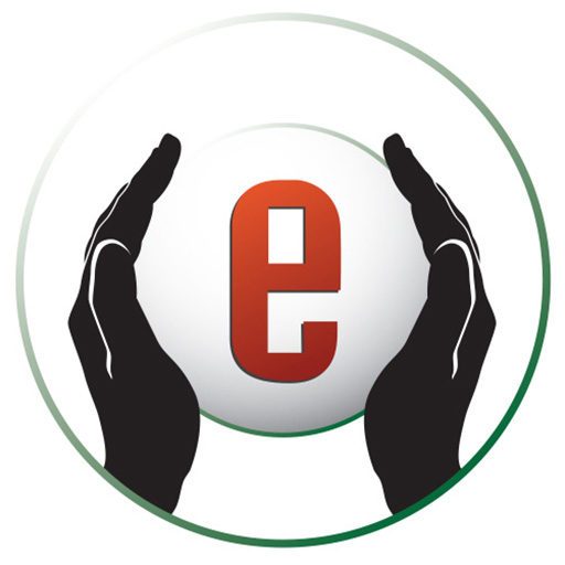 Our Team The Emerge Project