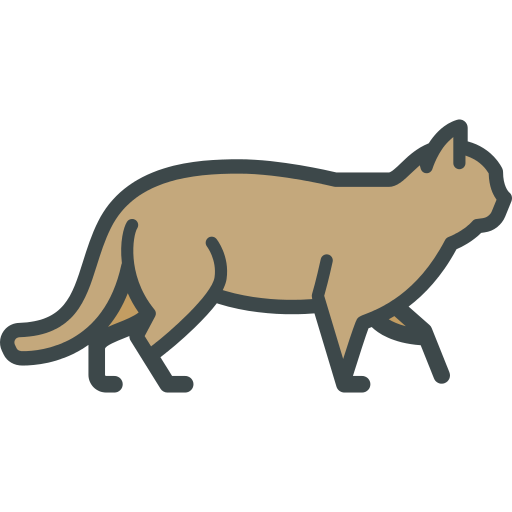 Wild Cat Png Icon