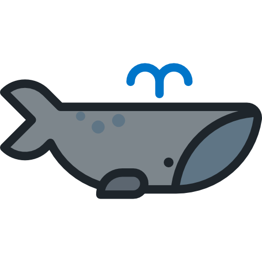 Zoo, Puma, Animals, Mammal, Wildlife, Animal Kingdom Icon