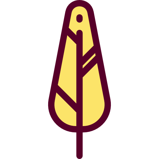 Feather Pen, Write, Miscellaneous, Education, Writing, Feather