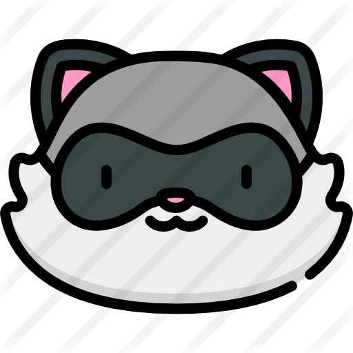 Raccoon