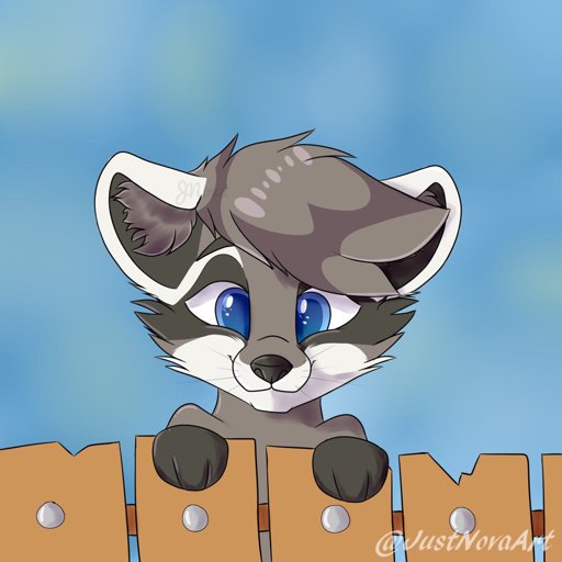 Raccoon Icon Furry Amino