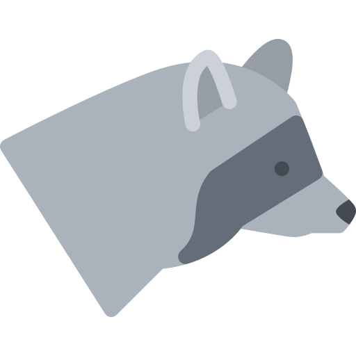 Raccoon Png Icon