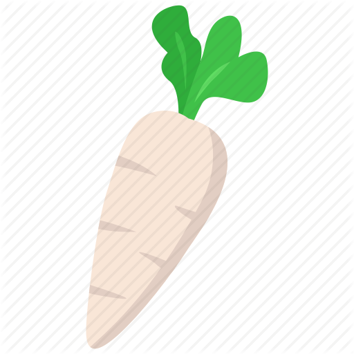 Food, Radish, Vegetable Icon