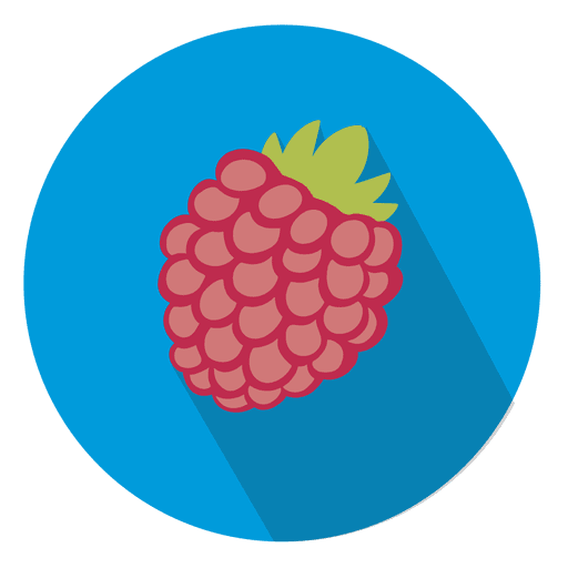 Raspberry Fruit Circle Icon
