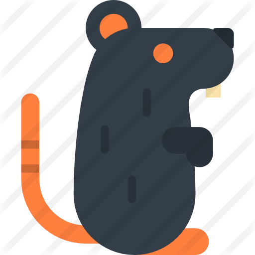 Rat