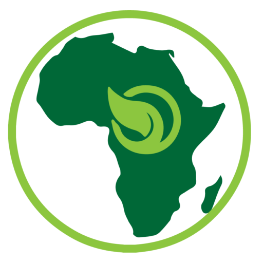 Iphone Plus Review Essa Africa