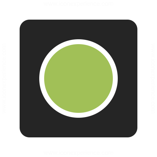 Media Record Icon Iconexperience