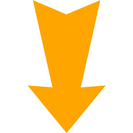 Orange Arrow Down Icon