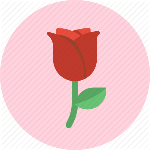 Floral, Flower, Love, Red Rose, Romantic, Rose, Valentine Icon