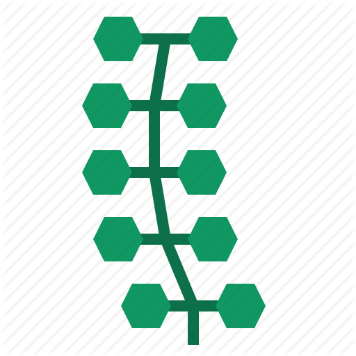 Alga, Reef, Seaweed Icon