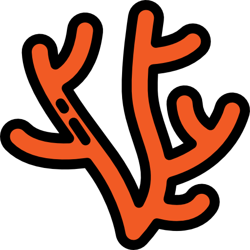 Coral Icon