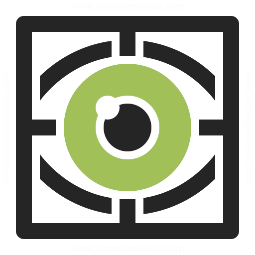 Eye Scan Icon Iconexperience