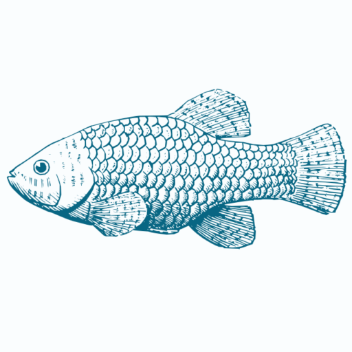 Dfc Membership Desert Fishes Council