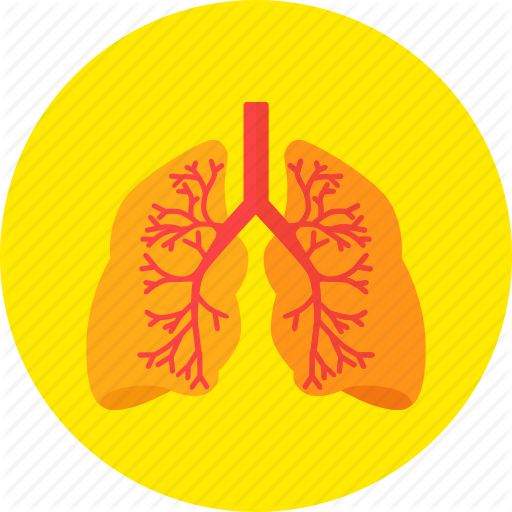 Lungs, Medical, Medicine, Organ, Respiratory, System Icon