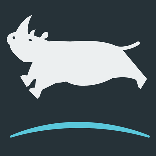 Leaping Rhino Where Function Meets Creativity