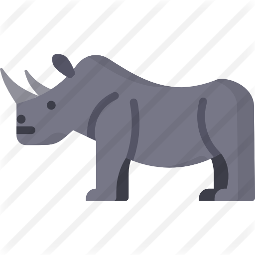 Rhinoceros