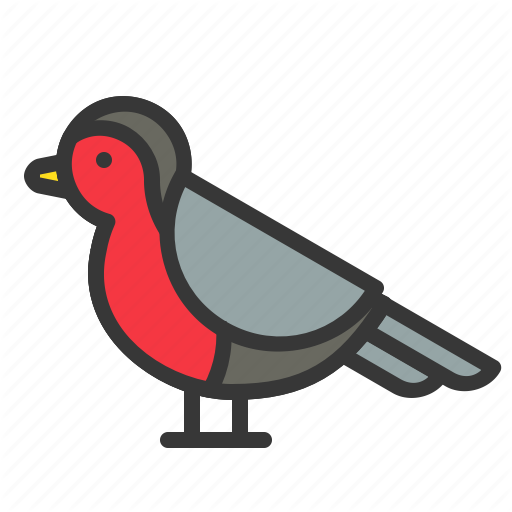 Animal, Bird, Christmas, Robn