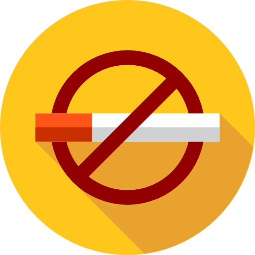 No Smoking Icon