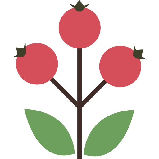 Autumn, Berry, Canker Rose, Dog Rose Icon Places To Visit