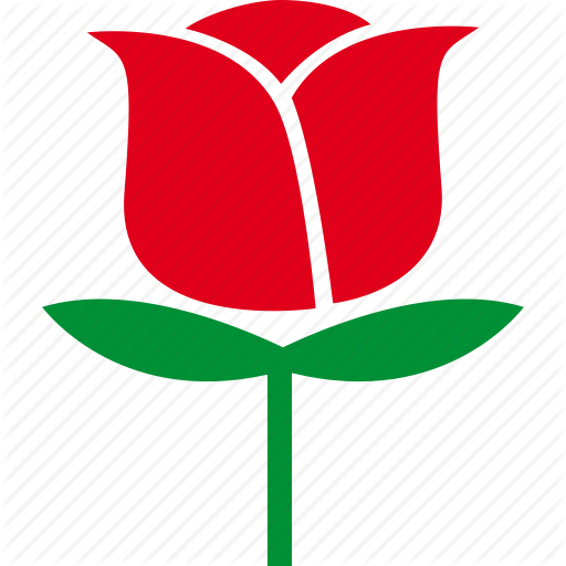 Eco, Floral, Flower, Love, Nature, Rose Icon