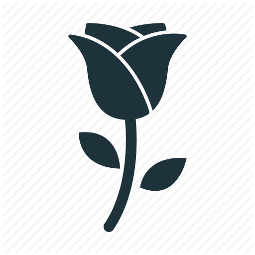 Flower, Romance, Romantic, Rose Icon