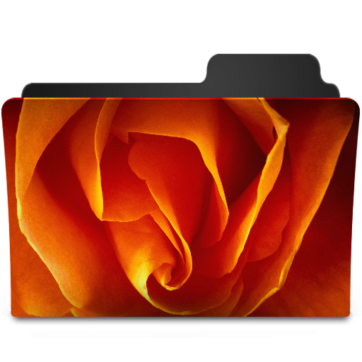 Orange Rose Icon