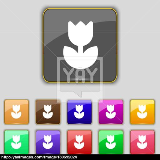 Flower, Rose Icon Sign Set With Eleven Colored Buttons For Your