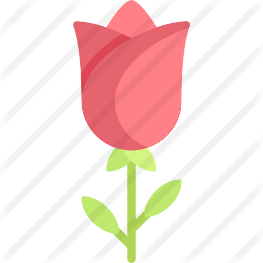 Rose Flower