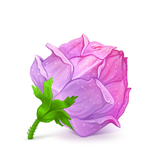 Box Rose Pink Icon Iconshow