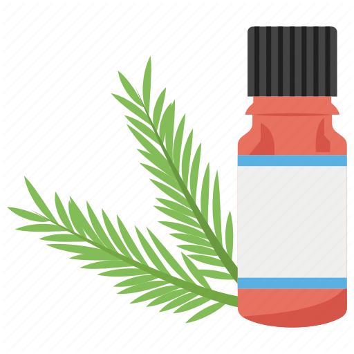 Beauty Treatment, Herb Spice, Herbal Medicine, Rosemary, Spa