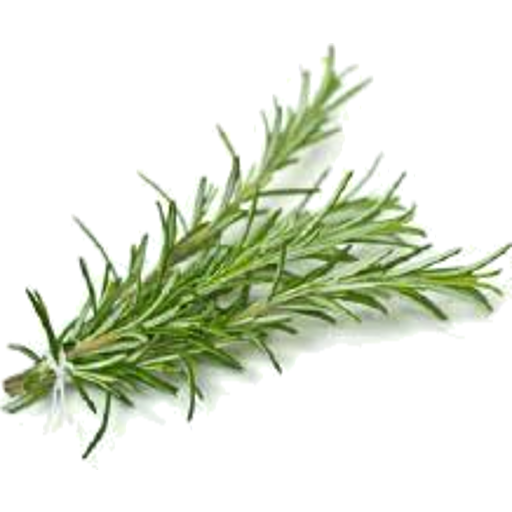 Rosemary, Brejules