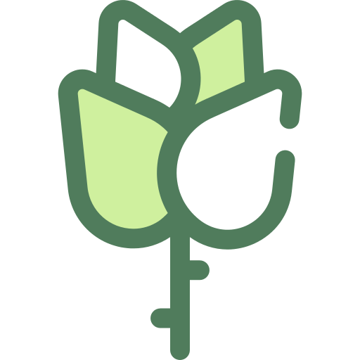 Rose Png Icon