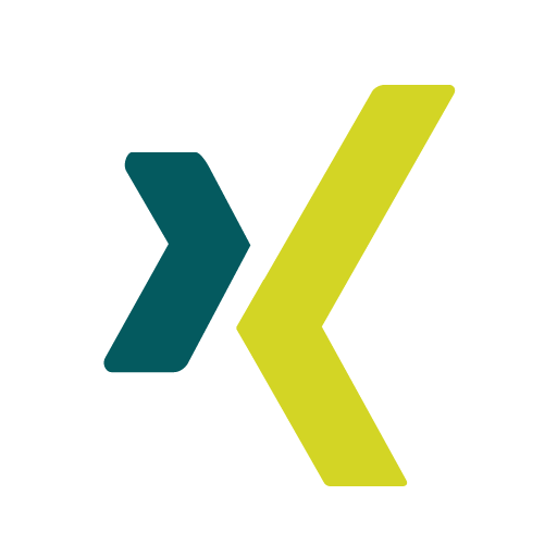 Xing Icon Basic Round Social S Icons