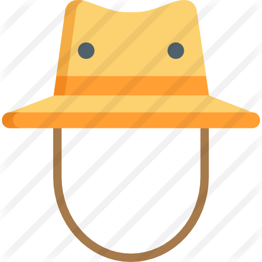 Coupon Code For Icon Hats Explorer