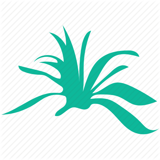 Generic, Herbs, Nature, Sage Icon