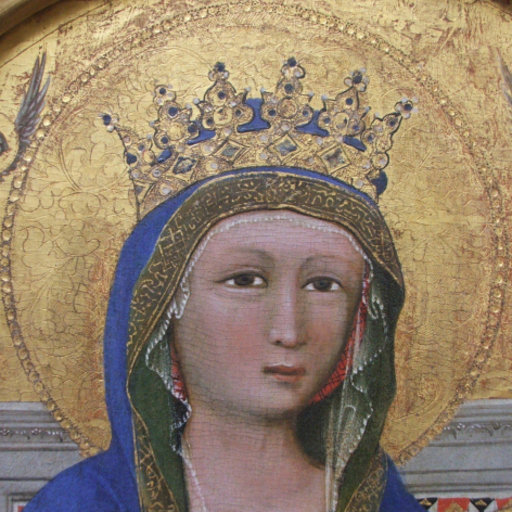 Zuleika Murat University Of Padova, Padova Unipd Department