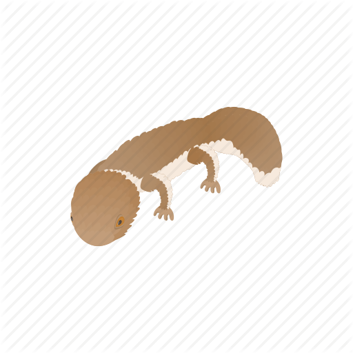 Cartoon, Design, Gecko, Lizard, Reptile, Salamander, Tattoo Icon