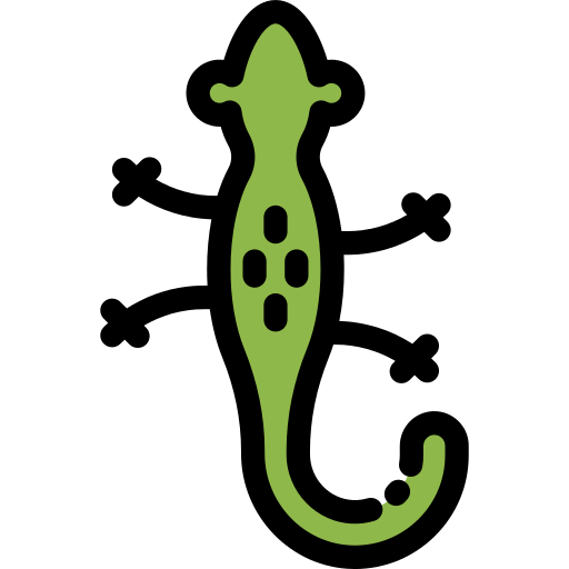 Salamander Png Icon