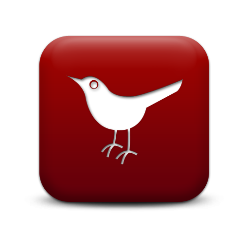 Salamander Fire Lizard