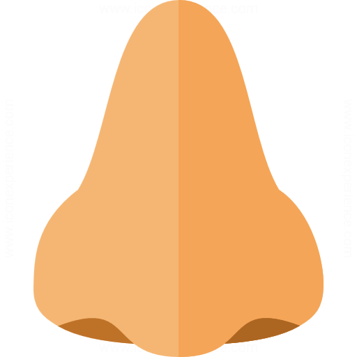Iconexperience G Collection Nose Icon