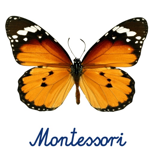 Montessori Preschool Scrapbook Puzzle Kids Fun