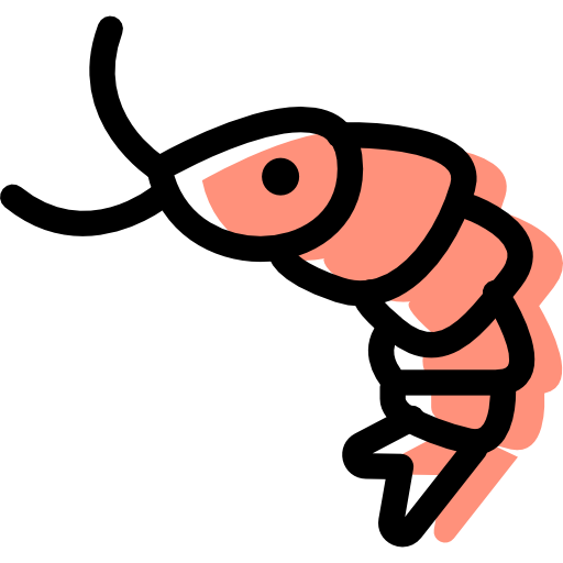 Shellfish, Shrimp, Seafood, Animal, Food, Sea Life Icon
