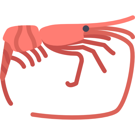 Shrimp Icon