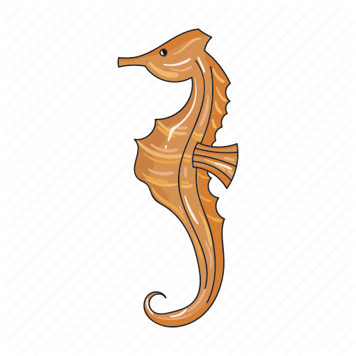 Animal, Sea, Seahorse Icon