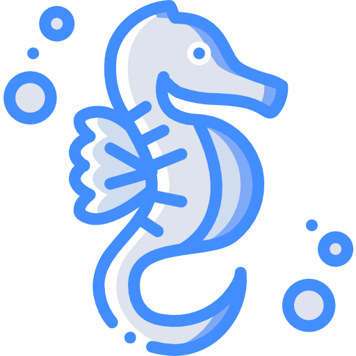 Seahorse