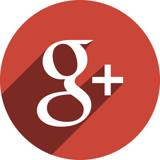 Google Icon