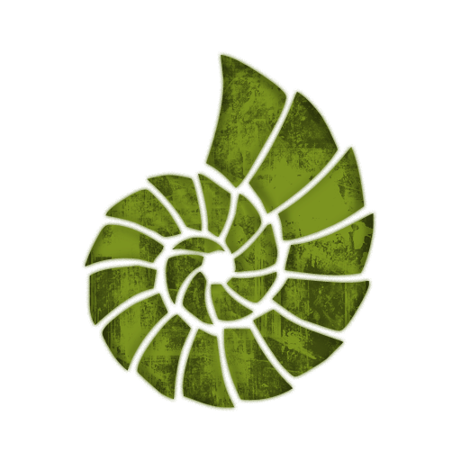 Sea Shell Clipart Beach Art Sea Shells, Clip Art