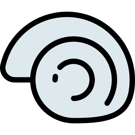 Seashell Icon