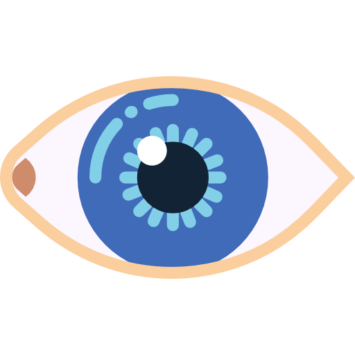 Eye Icon
